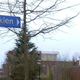 Illustration for article titled This small Netherlands town has streets named after Tolkien characters